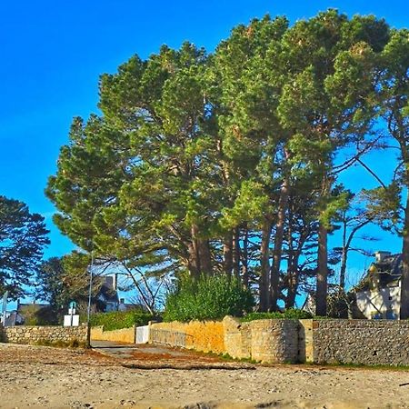 Cocon Neuf - 6 A 8 Pers 3 Chb Proche Plage, Port, Centre Ville Saint-Pierre-Quiberon Exterior foto