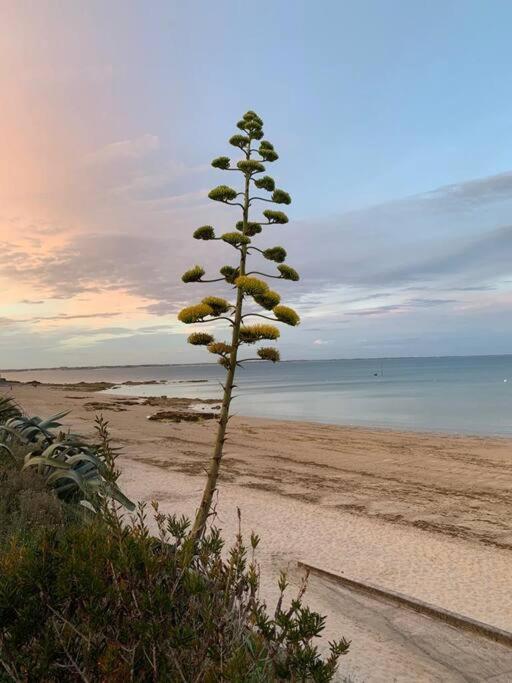 Cocon Neuf - 6 A 8 Pers 3 Chb Proche Plage, Port, Centre Ville Saint-Pierre-Quiberon Exterior foto