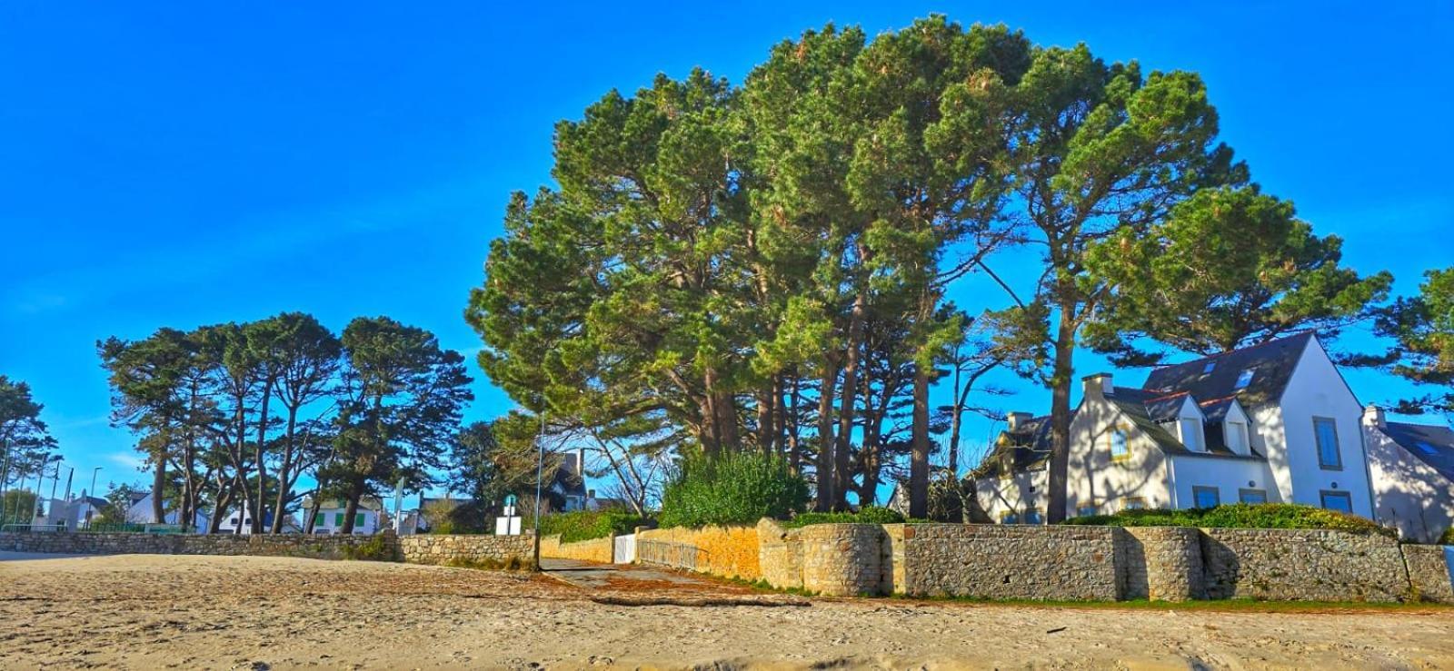 Cocon Neuf - 6 A 8 Pers 3 Chb Proche Plage, Port, Centre Ville Saint-Pierre-Quiberon Exterior foto